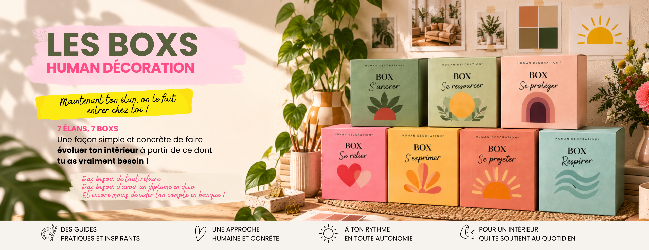 Les boxs human décoration