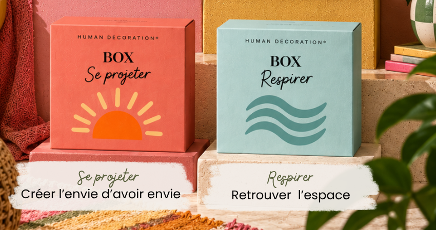 Boxs human décoration
